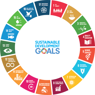 Millennium Challenge Corporation